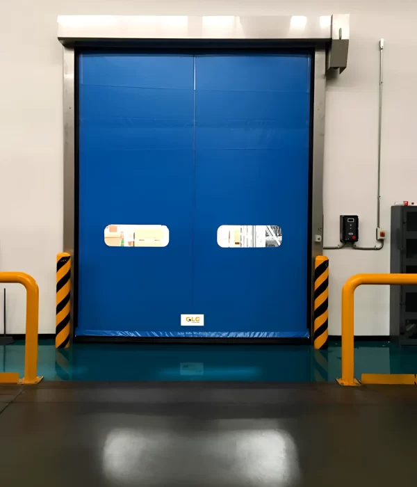 imagepuertax2